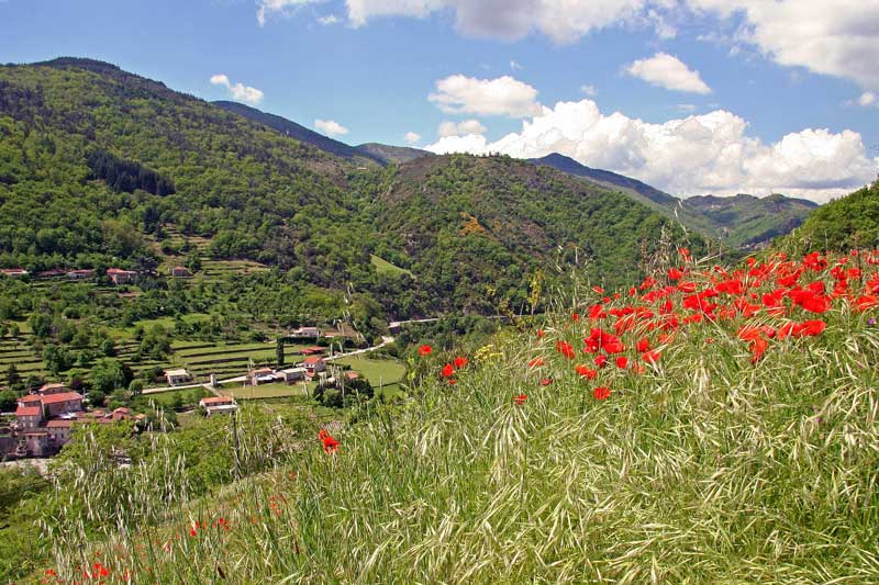 Belle vallée avec des coquelicots poussant dans les champs autour des montagnes et des hameaux, Ardèche