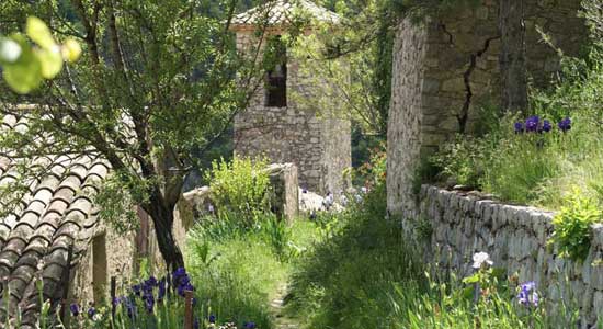 Découvrez Brantes Provence |  Une terre oubliée par le temps
