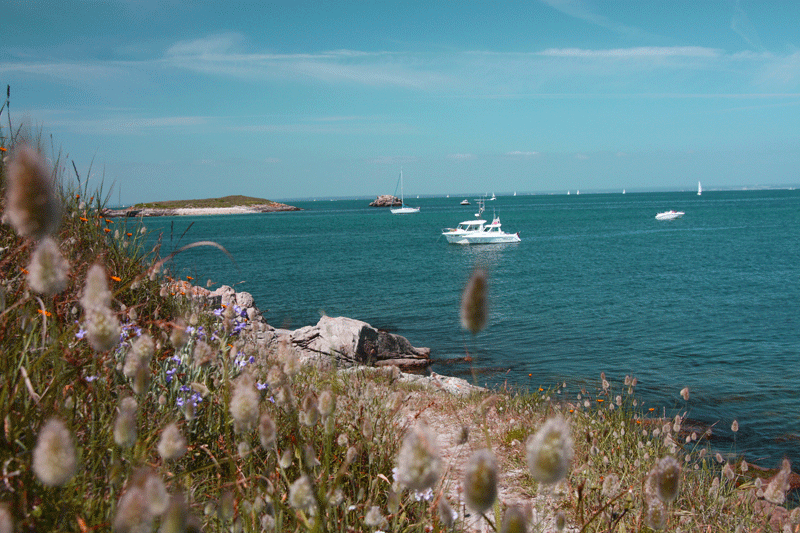 iles-glenan-bretagne-proche-finistere