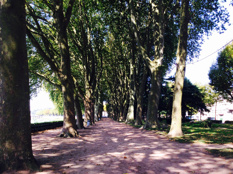 Chinon-château-avenue