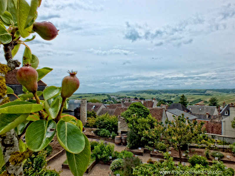 sancerre vue sur les vignes