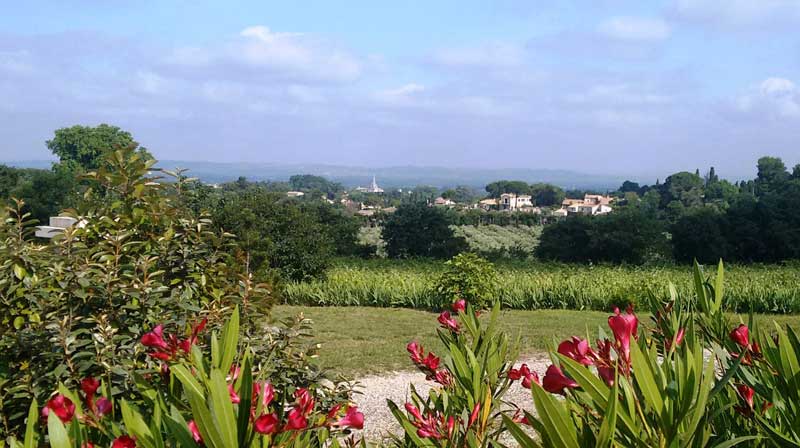 Un guide local de la flânerie à Saint-Rémy-de-Provence