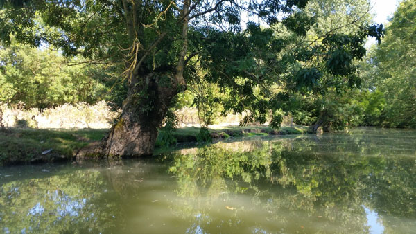 promenade-en-bateau-dans-le-marais-poitevin