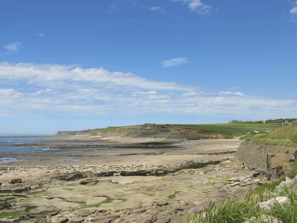 opal-coast-road-vues-côtières