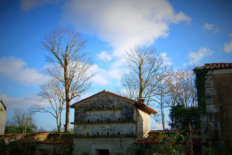 chateau-le-mung-colombiers