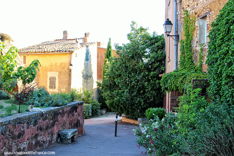 roussillon-provence-le-chat-au-soleil