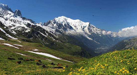 Prenez le tram jusqu'au Mont Blanc pour une balade palpitante dans les Alpes françaises