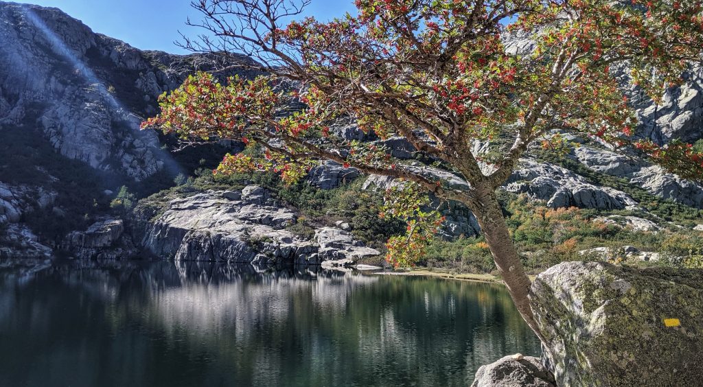 que visiter en corse