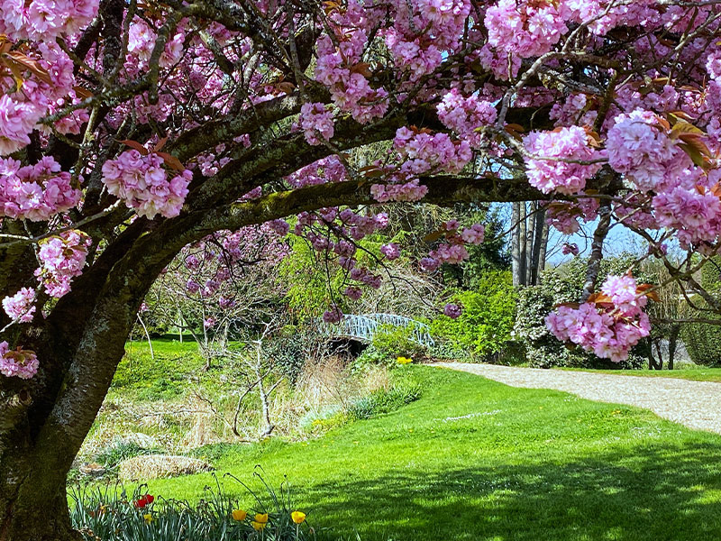 Jardin Viel Maisons, Aisne