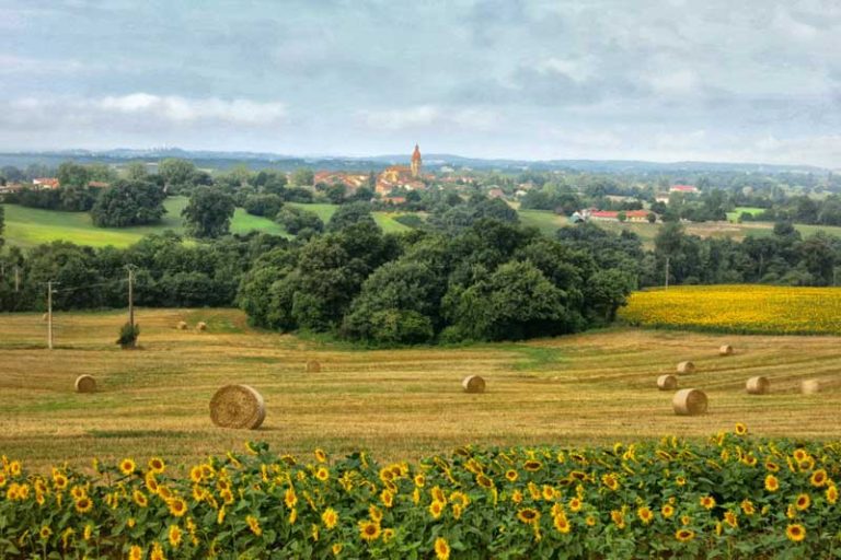10 Lieux Fabuleux Visiter En Gascogne Les P pites De France 10-lieux-fabuleux-visiter-en-gascogne-les-p-pites-de-france