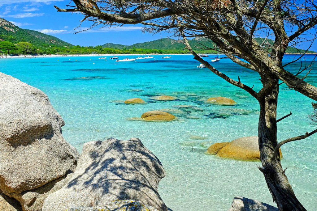 La plage de Palombaggia, mondialement connue, offre un paysage incomparable pour la détente estivale.