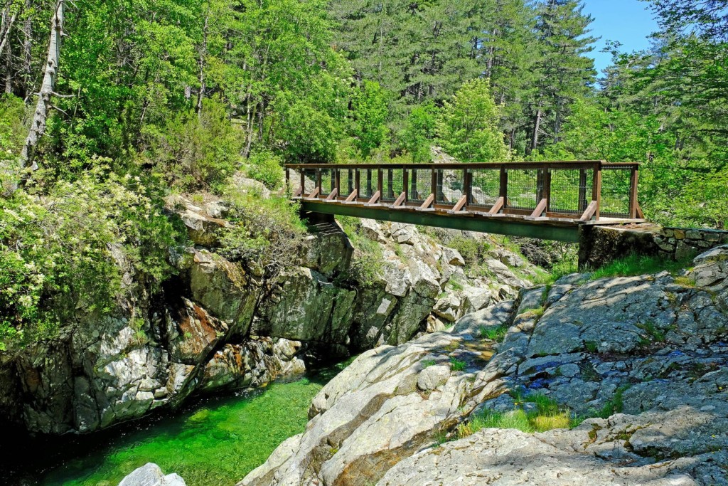 A la Passarelle de l'Agnone, petit pont traversant la rivière, le sentier rejoint le fameux GR20.