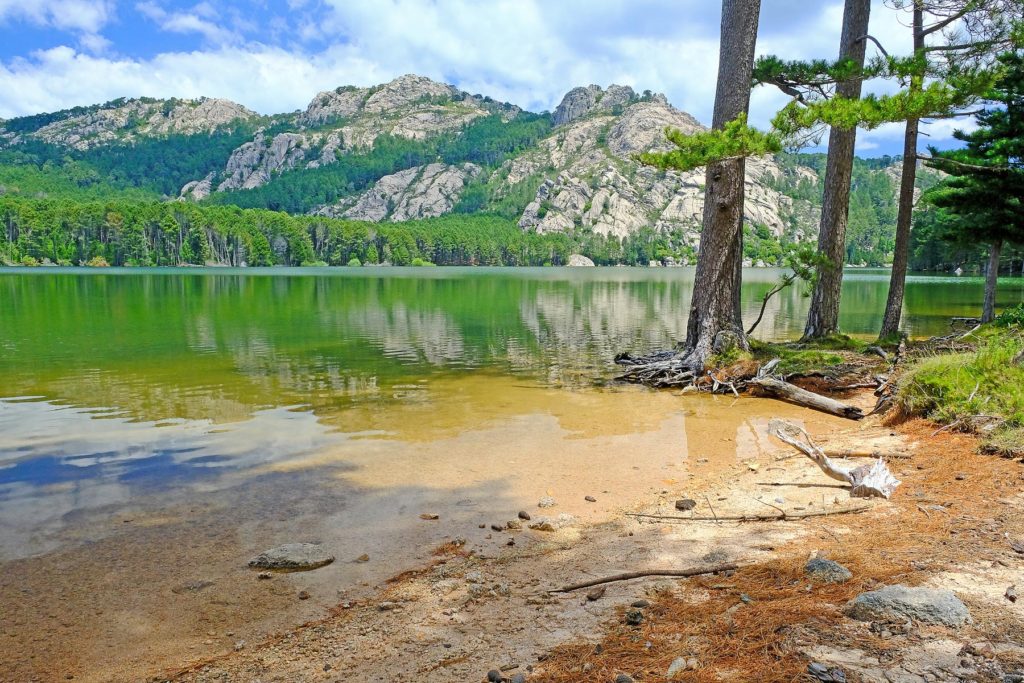 Les rives sereines du lac de l'Ospedale offrent un cadre parfait pour un pique-nique relaxant.