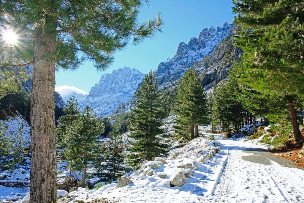 Paysages hivernaux enchanteurs de la Vallée de la Restonica nichée au pied du Massif du Rotondo.