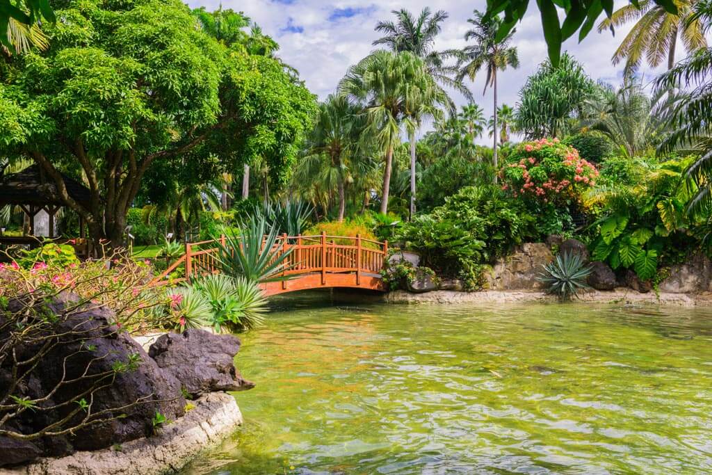 Jardin botanique de Deshaies