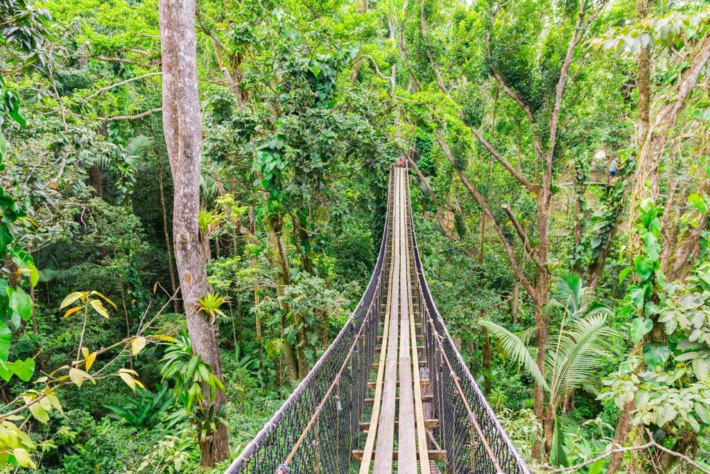 Parc des Mamelles - Guadeloupe