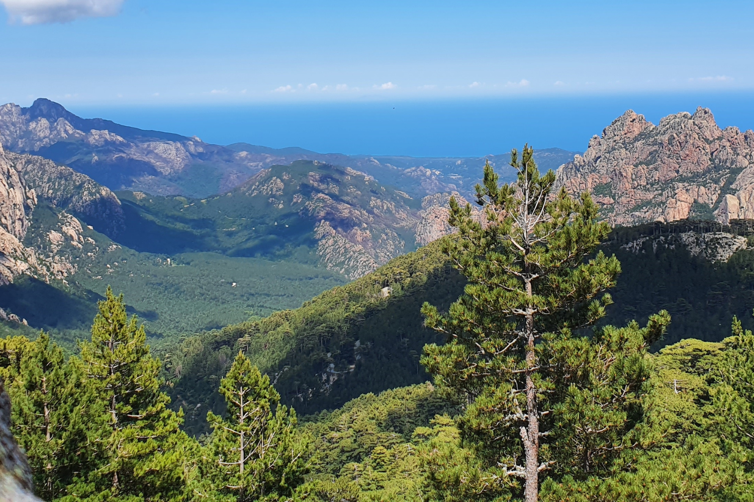 que faire en corse du sud