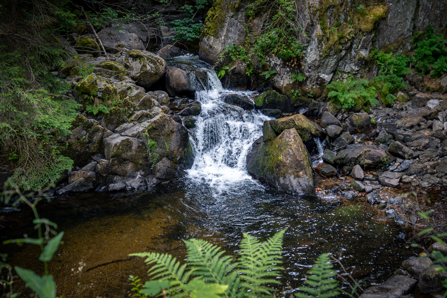 Cascade des vosges