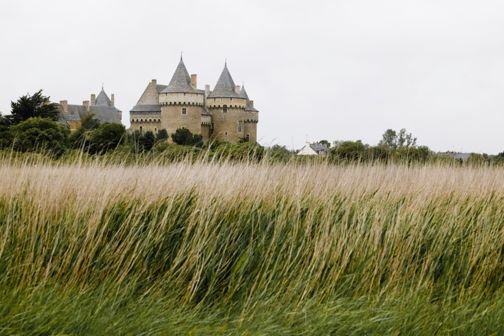 Château de Suscinio