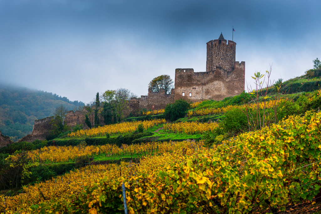 Château de Kaysersberg en Alsace