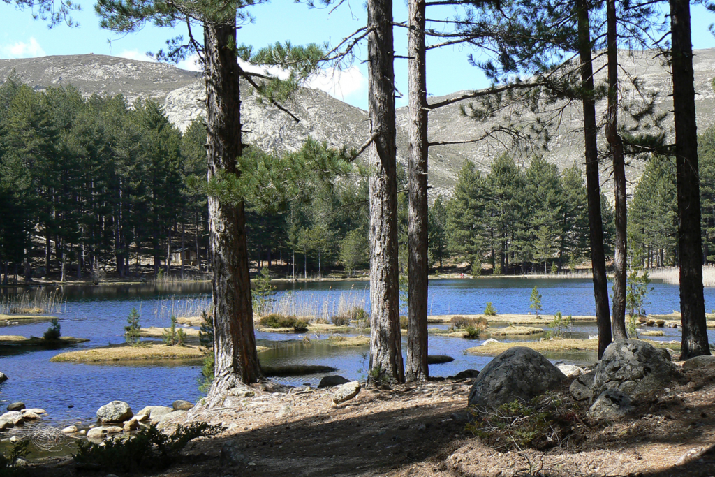 Lac de Creno en Corse