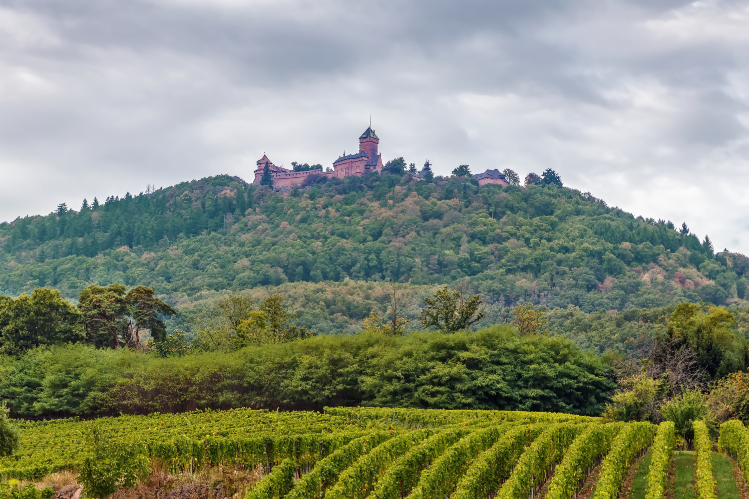 Château en alsace, plaine alsacienne