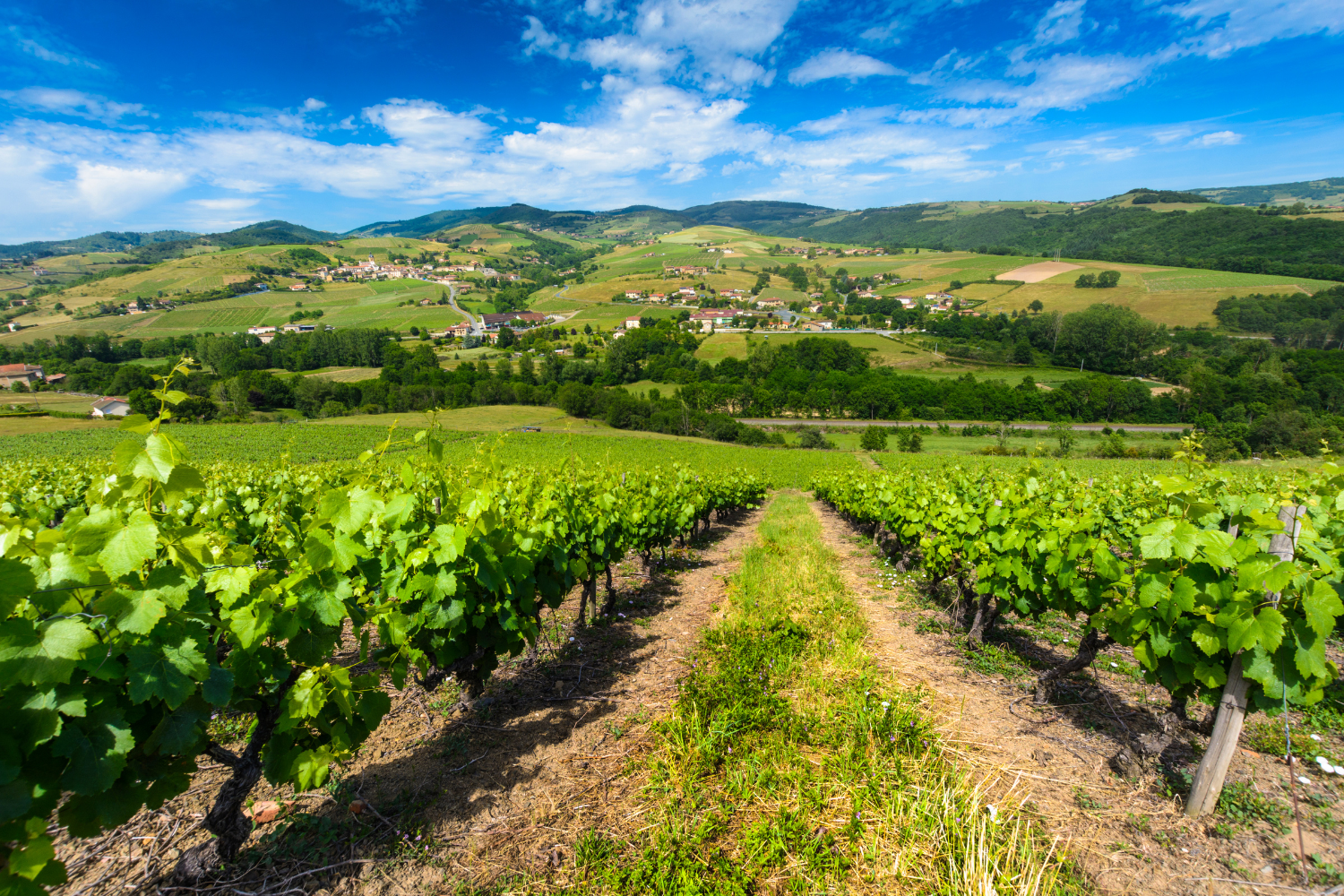 Village du Beaujolais