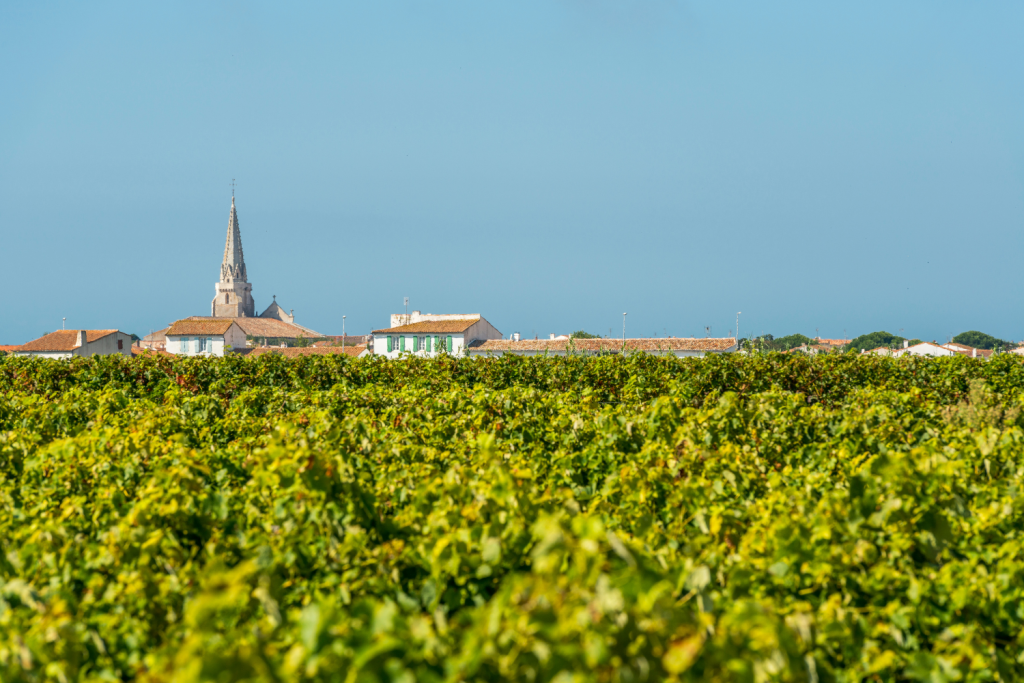 Ars-en-Ré, Village autour de La Rochelle