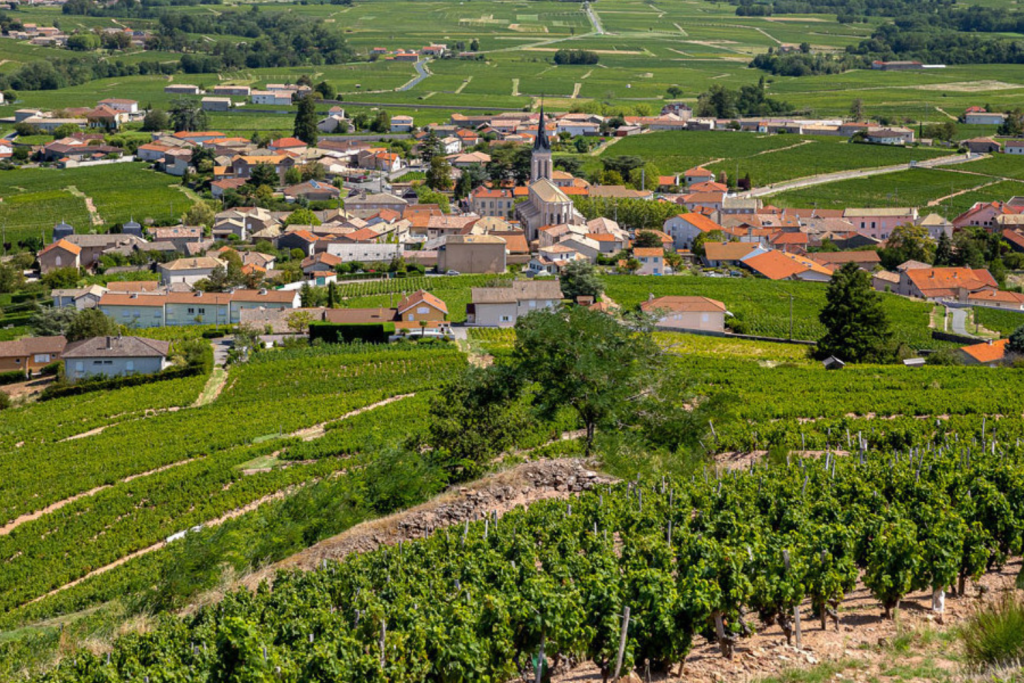 Village du beaujolais, Fleurie 