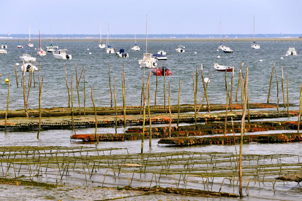 Ville du Bassin d'Arcachon, Lège-Cap-Ferret