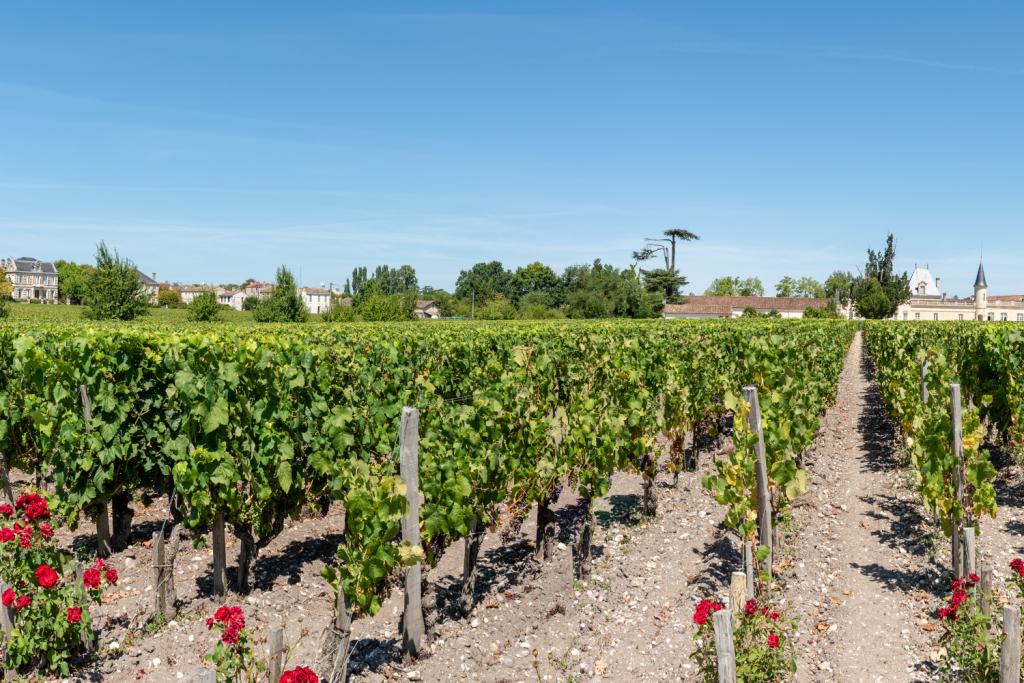 les plus beaux villages de l'estuaire de la gironde, Margaux