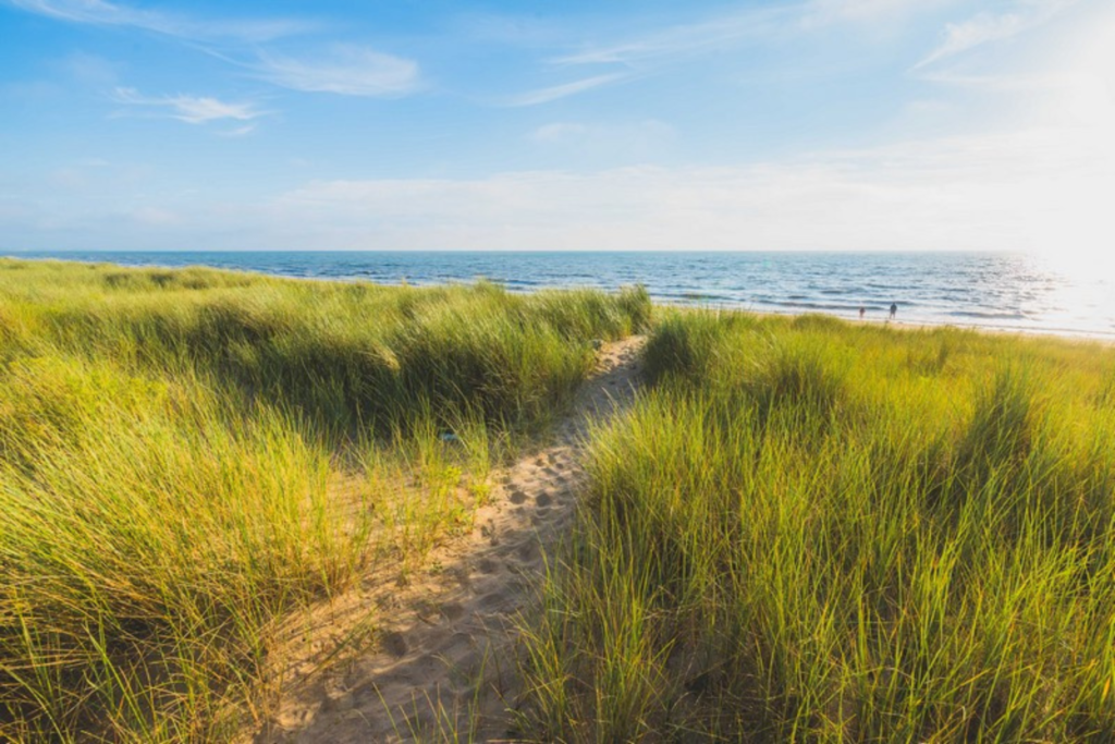 lieux incontournables pour visiter Coutances et ses environs, Les dunes d'Annoville