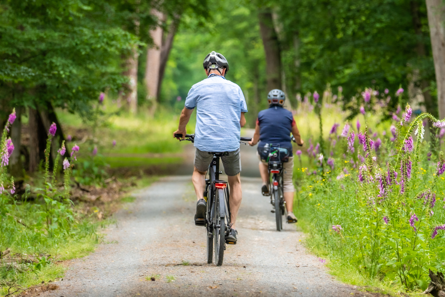 Découvrir la France à vélo : une aventure inoubliable