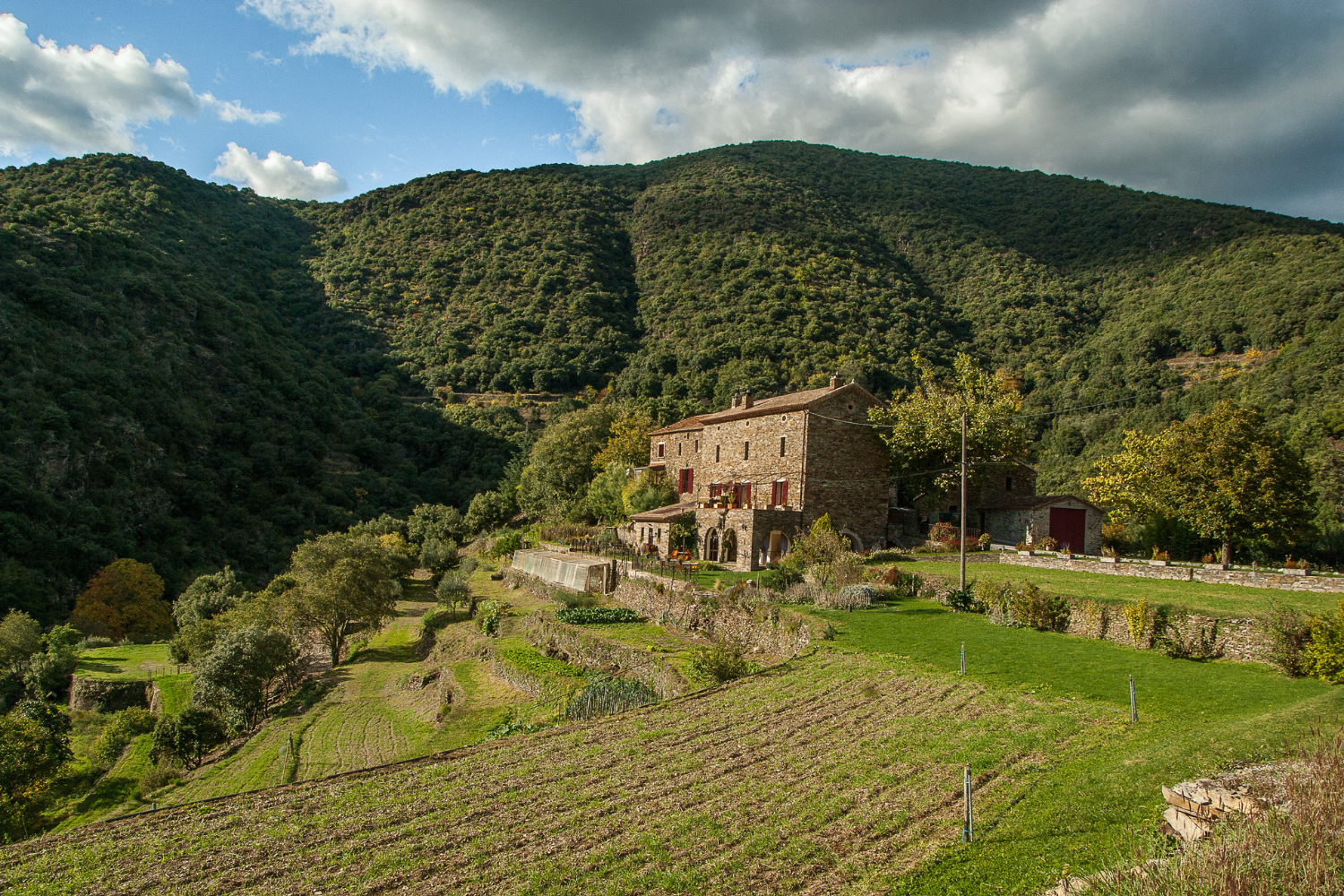 Les Cévennes