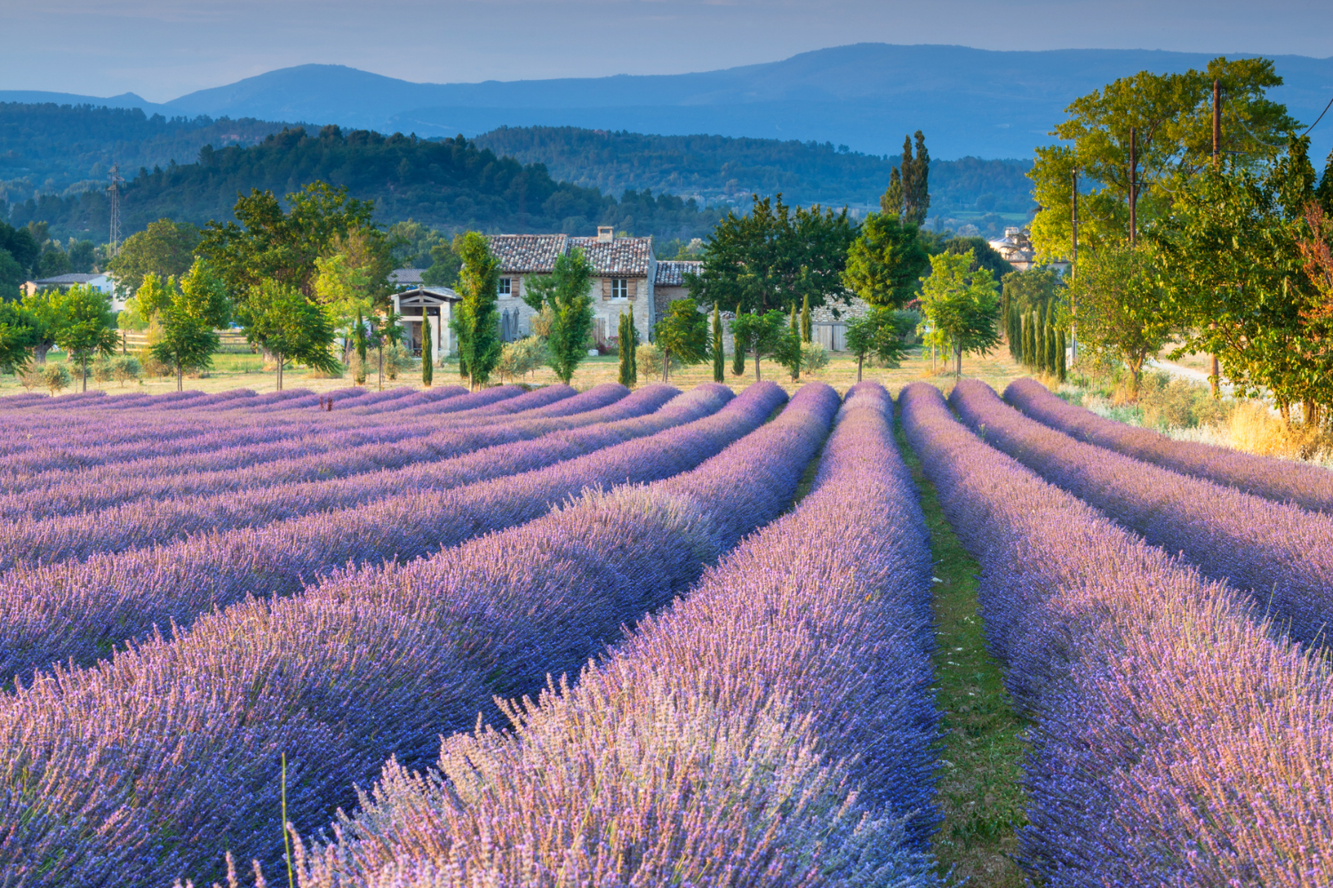 Que faire dans le Luberon