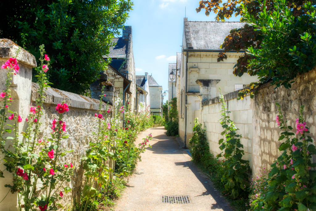 villages médiévaux d’Indre et Loire, Candes-Saint-Martin