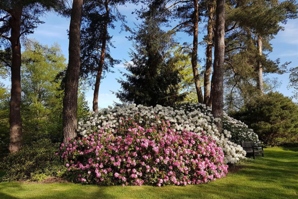 Que faire dans les Vosges, Les Jardins de Callunes