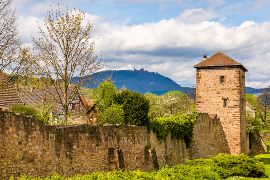 plus beaux villages d’Alsace, Bergheim