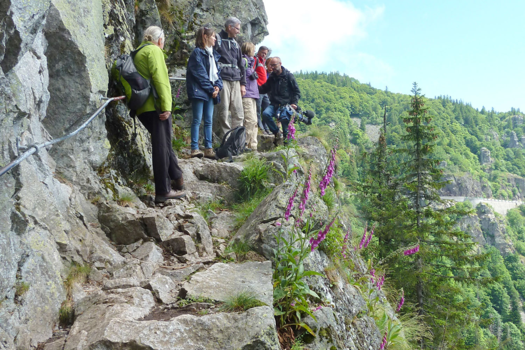 Que faire dans les Vosges, Le Sentier des Roches