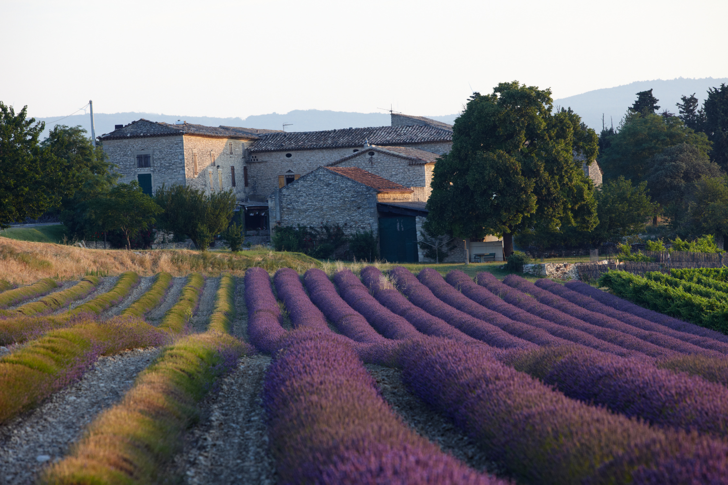 Nuit insolite vaucluse